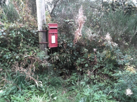 overgrown postbox