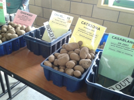 potato day sold out