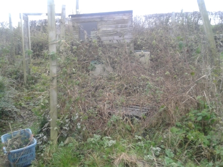 shed before clearing