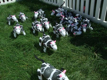 inflatable cows