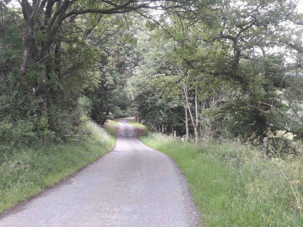 narrow rural road