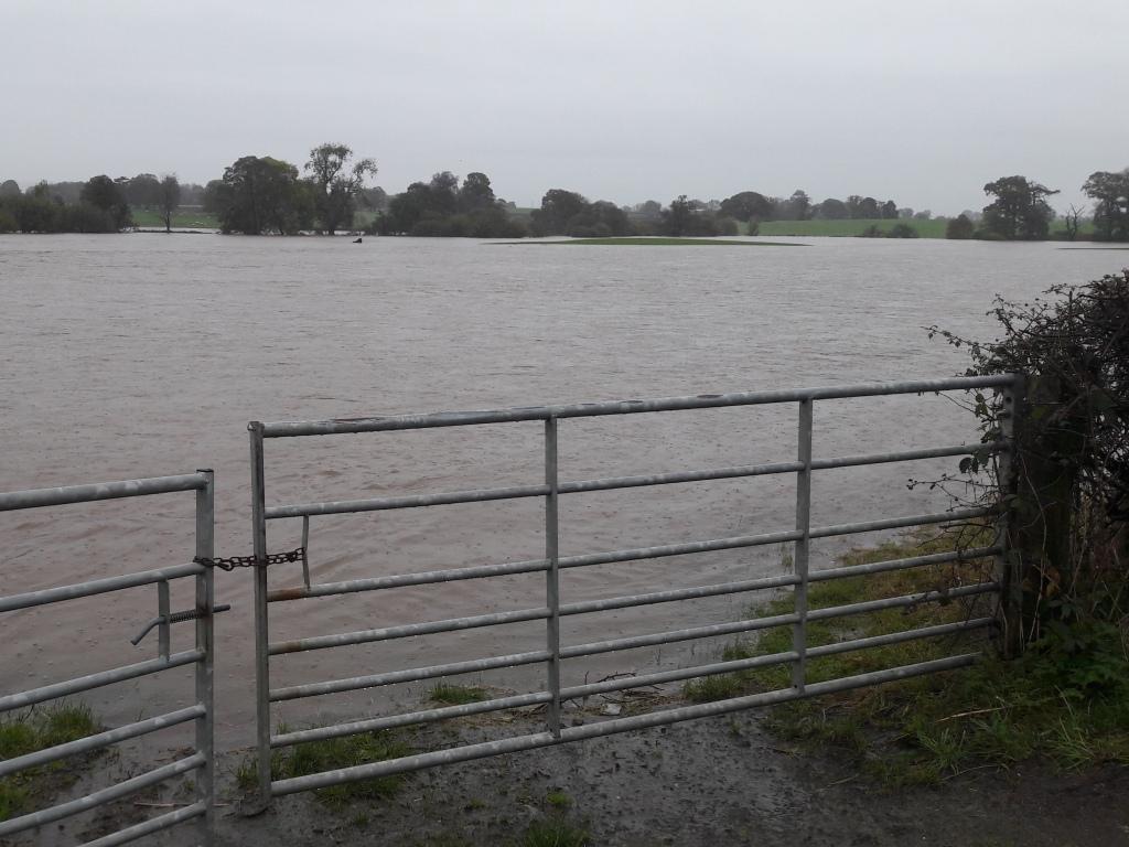 field flooded up to the gate