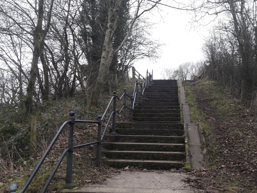 Flight of steps on cycle route